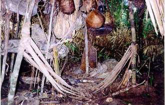 Abandoned_house_bulletin_band