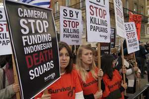 I cartelli di protesta di Survival in occasione della visita del Presidente dell'Indonesia a Londra.
