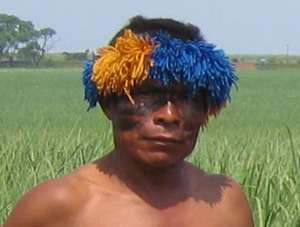A Guarani man in front of sugarcane crops, grown where the tribe’s forests once stood.