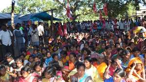 Protest_300_wide