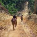 Hombres awá descienden por una carretera creada por madereros. &copy; Uirá Garcia