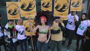 Uk-awa-protest5-2_300_wide