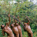 Hombres awá cazando en la selva. &copy; Fiona Watson/Survival