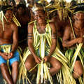 Des Indiens makuxi revêtent leurs costumes ‘paishara’ pour assister à une réunion sur leurs revendications territoriales, Bismark, Raposa Serra do Sol, Brésil. &copy; F. Watson/Survival