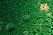 Uncontacted Tribes