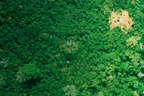 uncontacted-tribes-notext_news_small.jpg