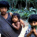 Enfants awá, Posto Triacambu, Caru.

 &copy; Fiona Watson/Survival
