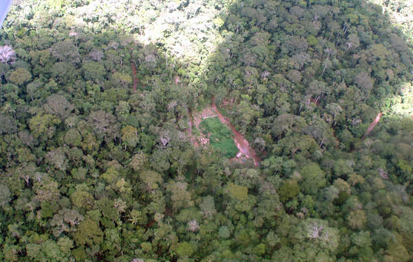 Un campamento de madereros ilegales, visto desde el aire.