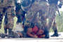 Bagua_protester_thumb