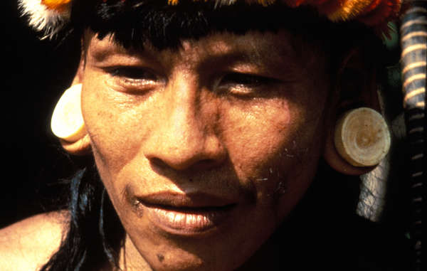 In Ecuador steht das Land der Waorani unter gewaltigem Druck von Ölunternehmen und Holzfällern.