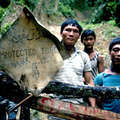 Blocage d'une route par les Penan &copy; Andy Rain/Nick Rain/Survival
