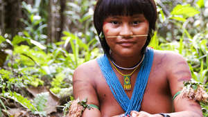 Survival condamne le mythe du ‘sauvage brutal’