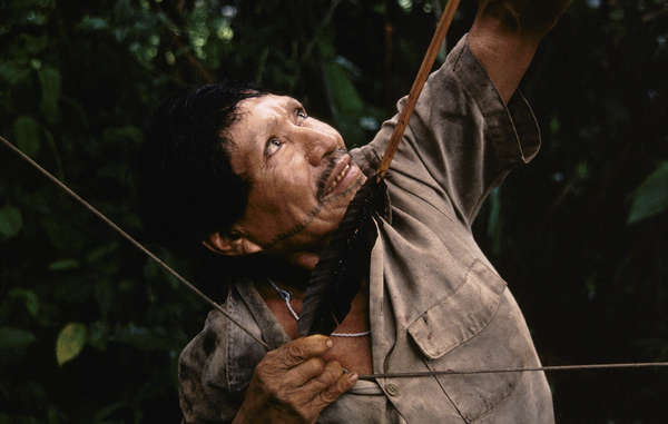 The Matsés have lived by hunting and gathering in the Amazon Uncontacted Frontier for generations.