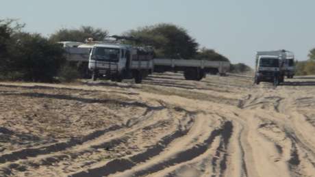 Sursis pour les Bushmen menacés d'expulsion