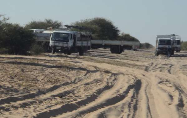 Camiones llegan a Ranyane para desalojar a los bosquimanos.