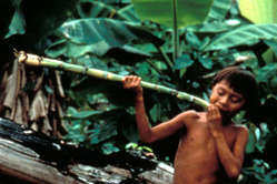 Yanomami jongen, Brazilië