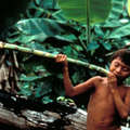Niño yanomami, Brasil.

 &copy; Victor Englebert/Survival