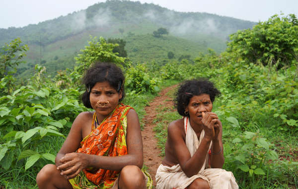 Los dongrias han vivido en Niyamgiri durante generaciones. Dependen de su entorno natural para alimentarse y mantienen una profunda conexión con él.