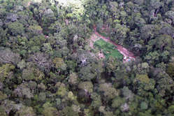 One of the photos of logging camps in the Murunahua Reserve, re