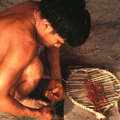 Yanomami preparando yapo o snuff alucinogénico.

 &copy; Victor Englebert/Survival