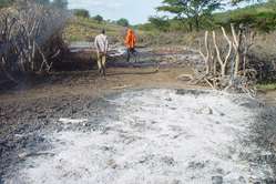 Im Juli 2009 niedergebrannte Maasai Wohnstätte.