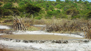 Dsc00599_300_wide