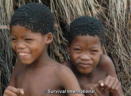 &#39;Pioneering&#39; plan to give Bushmen armbands as tourist lodge opens 1 April 2010 - bots-bush-jm-km-308-lr_screen