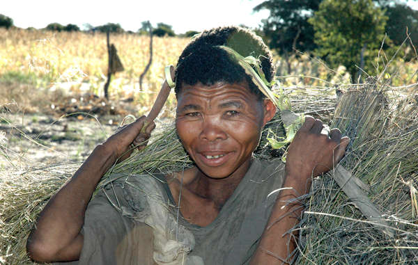 The Bushmen are returning to court again in their struggle to live in peace on their land.