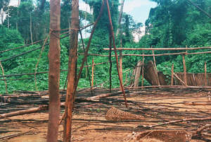 After the brutal attack on the Yanomami, gold-miners set fire to the shabono (communal house) of Haximu.