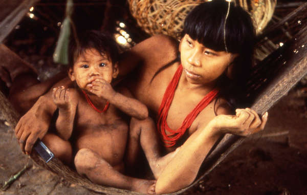 Ecuador's Waorani Indians are related to the uncontacted Tagaeri and Taromenane tribes. All are under great threat from oil exploration in the Yasuni Park.