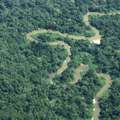 Goldminers work illegally in Yanomami land &copy; Hutukara/<span class="caps">ISA</span>