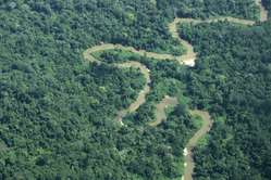 Goldminers working illegally in Yanomami land
