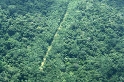 Piste d'atterrissage illégale au coeur du territoire des Yanomami