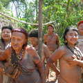 Tous les membres de la communauté akuntsu, 2008. &copy; Fiona Watson/Survival