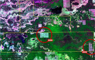 Yaguarete-deforestation-2009-large_bulletin_band