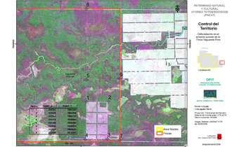 Vertices-deforestacion-ypora-sa-29-ag-09_bulletin_band