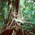 Een Palawan man jaagt met blaaspijp op vogels in Culasian. Het gif op de punt bestaat uit minstens acht verschillende plantensoorten. <small>© Dario Novellino</small>