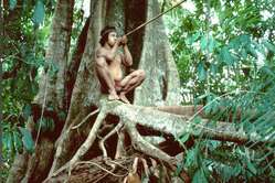 A Palawan hunting birds with blowpipe in Culasian. At least eight vegetable species are employed in the making of the poison.