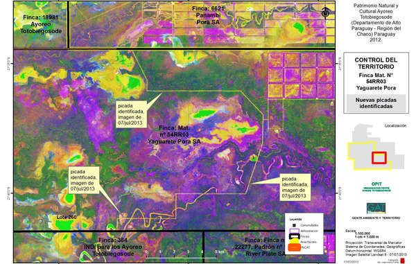 Des photos satellite révèlent de nouvelles étendues de forêt des Indiens isolés rasées aux bulldozer.