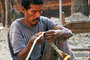 091127_ayoreo_crop_thumb