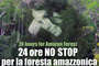 24_ore_no_stop_thumb