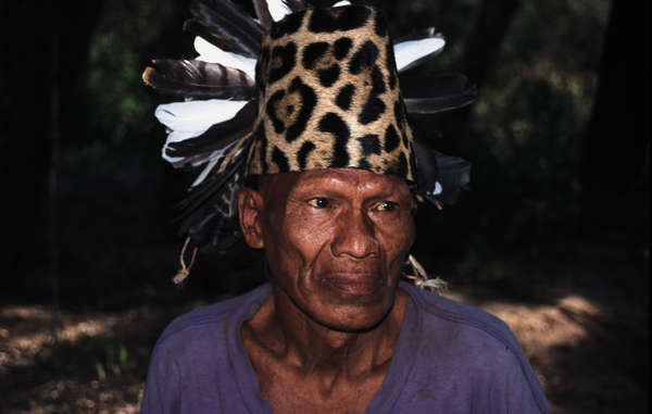 "Many Ayoreo were contacted from the 1970s onwards. Since then they have suffered from poverty, disease and the destruction of their land."