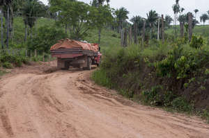 Following Survival's campaign, a government operation has removed most loggers and settlers from the key Awá territory, but logging continues in other territories where they live. 