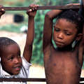 Bushman children, CKGR, Botswana 2004
 &copy; 2004 Stephen Corry/Survival
