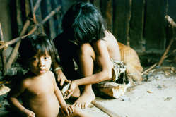 Awá children, Brazil. The confirmation of the existence of the Indians near to the Katukina tribe comes just after confirmation of a group of uncontacted Awá Indians in the eastern Amazon.