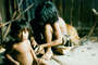 Tribe sights uncontacted Amazon Indians