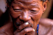 Bushmen