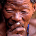Bushman elder, CKGR, Botswana 2004
 &copy; 2004 Stephen Corry/Survival