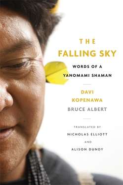 Libro 'The Falling Sky'.