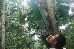 Hombre nukak cazando con cerbatana.